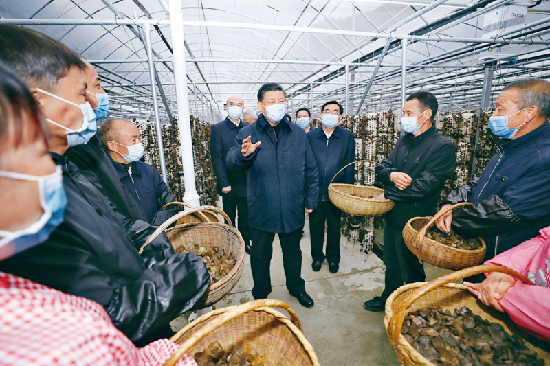 2020年4月20日至23日,中共中央总书记、国家主席、中央军委主席习近平在陕西考察。这是4月20日,习近平在商洛市柞水县小岭镇金米村智能联栋木耳大棚,同村民亲切交流。新华社记者 鞠鹏/摄